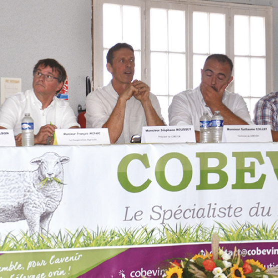 La coopérative affiche un résultat positif pour la 27e année consécutive. © Thibaut Morillon