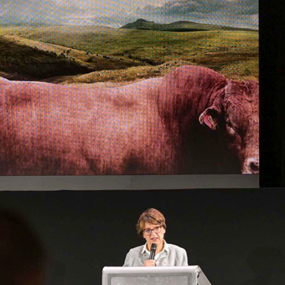 Les annonces d'Annie Genevard lors du Sommet de l'Elevage le jeudi 8 octobre 2026. © capture X