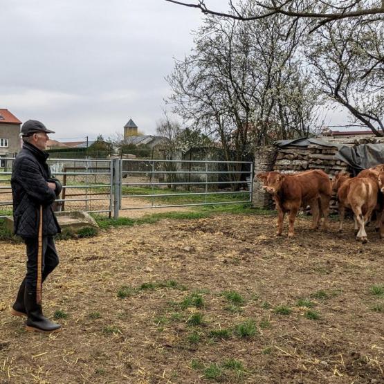 Lors de la visite de l’EARL des Terres Blanches, à Tronville, les adhérents de la section Grand Est du HBL ont observé attentivement les veaux. Photo : A.Legendre