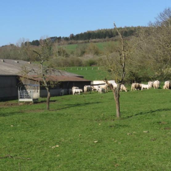 Laurent Wendliger : «nous aboutirons peut-être à moins de grands bâtiments. Nous envisageons l’aménagement de bâtiments existants». Photo : H. F.