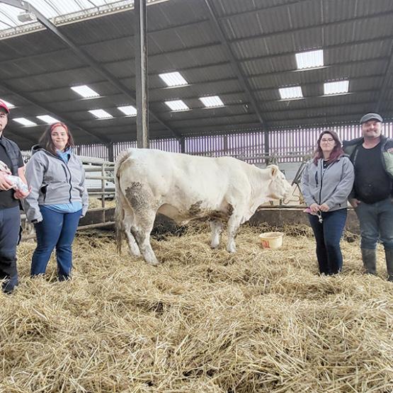 De g. à d. : Quentin, qui porte sa fille Amandine, Camille, la vache Ozone, Justine et Geoffroy Seemann. Photo Bérengère de Butler