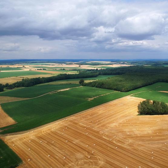 Dégrèvement partiel automatique de TFNB sur les prairies et les terres labourables. 