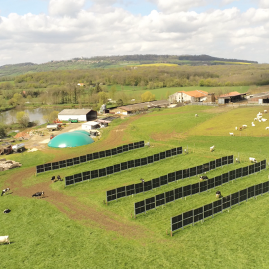 Avec l’implantation de ces « haies » photovoltaïques, la ferme de La Bouzule entend « donner de la valeur ajoutée aux prairies et améliorer le revenu des éleveurs ». Photo DR.