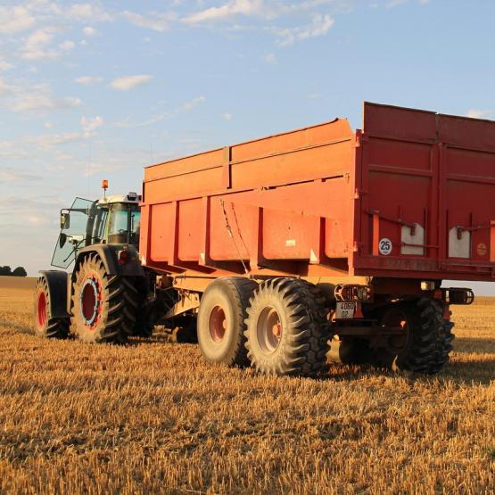 © Photo sous licence CC