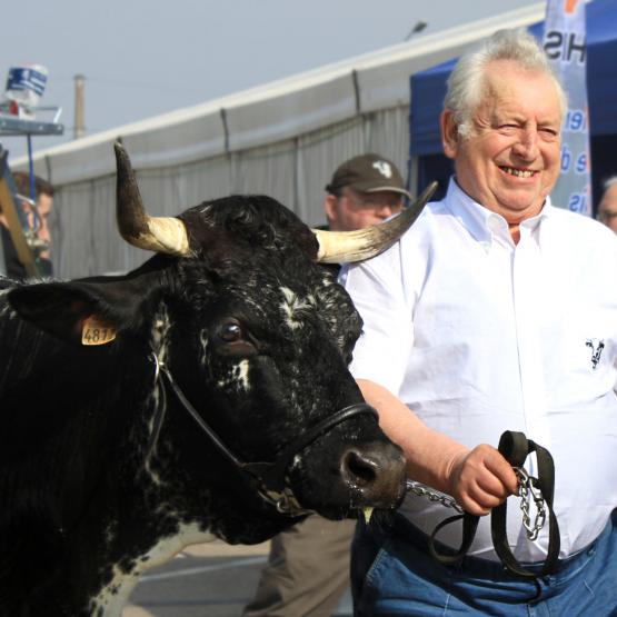 Jean Wehrey surnommé Hansi était le grand défenseur de la race Vosgienne. 