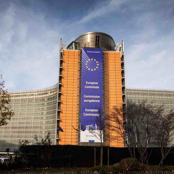 Commission européenne. © Photo DR iStock