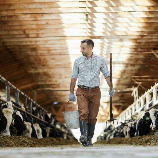 Eleveur laitier. © Photo iStock