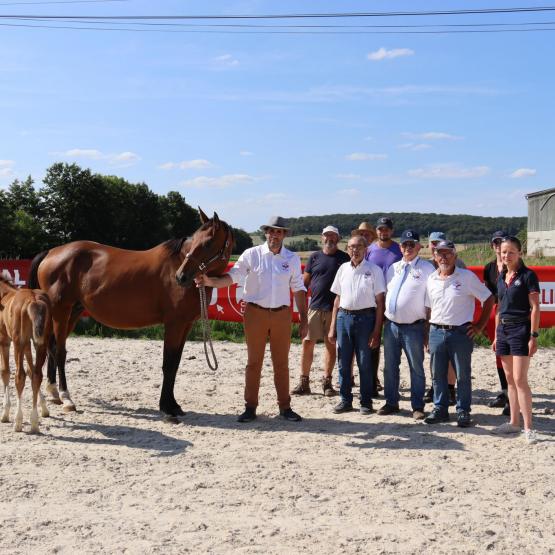 C’est dans une ambiance conviviale que des membres de l’association Cheval Grand Est se sont retrouvés à l’occasion du concours foals du 18 juillet Photo : Marion Falibois