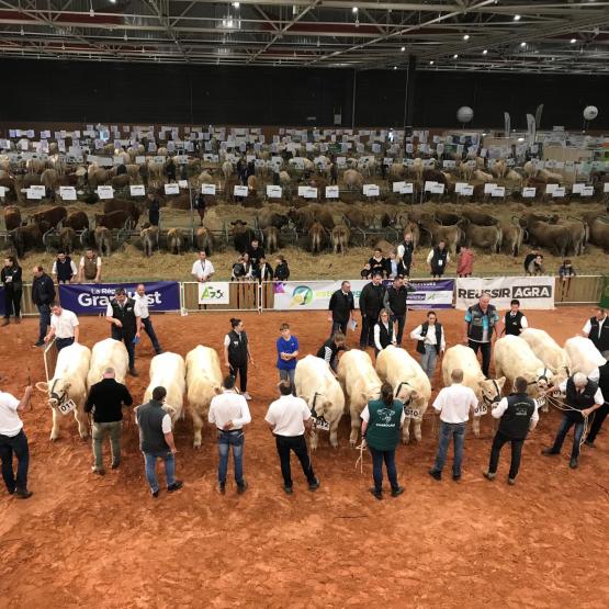 Foires agricoles sans présence d’animaux en concours, parfois annulation pure et simple des manifestations, de nombreux exemples d’échecs étaient à l’esprit de tous durant les semaines de préparation du salon Agrimax à Metz. © Photo Pierre Divoux