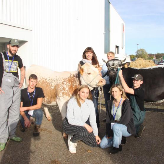 Parmi les animaux en concours, la présence exceptionnelle d’une Vosgienne “rouge“. Photo P.Divoux