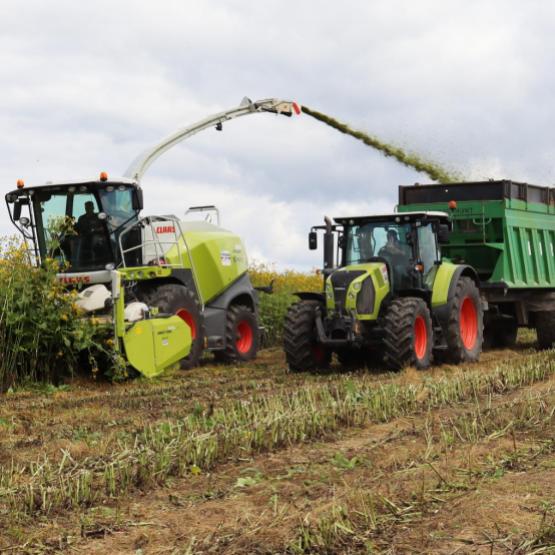 Des démonstrations de récolte rythmaient l’évènement. Photo : M.Palmieri