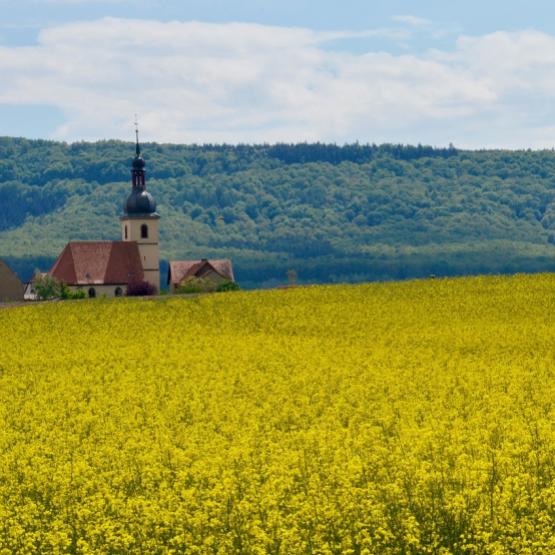 Clocher de village. © Photo sous licence CC