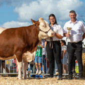 RIPOSTE du GAEC DE L’ETOILE à REMICOURT sacrée GRANDE CHAMPIONNE MONTBELIARDE ©Manon Laurain 