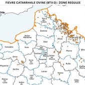 Zone régulée FCO actualisée par le ministère de l'Agriculture en date du jeudi 5 septembre