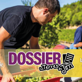 La filière agricole représente 1.263.479 actifs (chiffres Msa 2023) et près de 200.000 prévisions d’embauches (source France Travail 2025), qu’elles soient durables ou saisonnières. © DR