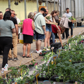 Dans les serres, les amateurs de jardinage faisaient le plein de bonnes affaires. Photo Marion Falibois