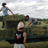 Jeunes agriculteurs au travail.