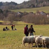 Chacun leur tour les binômes passent sous le regard des formateurs et autres binômes. © Photo Mélanie Becker