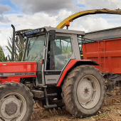 Le fait pour un agriculteur d’exploiter une parcelle dépendant du territoire de la commune suffit à le rendre prioritaire. © Photo N. M.