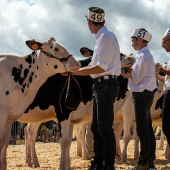 L'année dernière déjà le partenariat entre les JA et Top Génétique Vosges était une réussite. © Photo Top Génétique Vosges