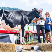 Raspoutine est montée sur le podium ce week-end à Nompatelize. © Améline Perrin Photographie 