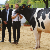 Rasberry, du Gaec Harmand Peltre à Guermange (Moselle), grande championne de Lunéville. © Photo DR