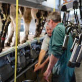 Le Compte Épargne Temps offre des avantages à la fois pour l’employeur et le salarié. © Photo L.PAGE - CNIEL