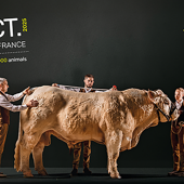 Visuel Sommet de l'Elevage 2025