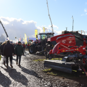 Le champ de foire de Poussay était autant boueux qu’ensoleillé pour cette 427ème édition © Photo de Marion Falibois