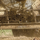 Epandage. © Photo DR