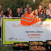 Glanage solidaire de pommes organisé par SOLAAL à Gigney. © Photo SOLAAL Grand Est