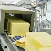 Production de beurre. © Photo DR iStock