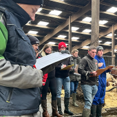 Les jeunes évaluent les bovins suivant différents critères. © Photo archives JA 88