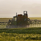 © Photo sous licence CC