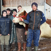 (De G. à D.) Léna Vaxelaire, stagiaire, Bryan Perrin, futur salarié, Nathanaël Cherrier, stagiaire, Fabien Colle, salarié et Jules Arnould, éleveur à l’EARL des Gourmets posent avec Tulipe, une petite fille de Finette. © M. FALIBOIS