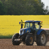 Fertilisation azotée du tournesol : ajuster les apports aux besoins réels pour concilier rendement et qualité. © Photo Terres Inovia