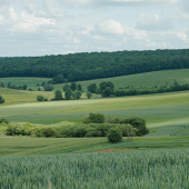 Le bail rural à clauses environnementales est un outil permettant de concilier activité agricole et protection de l’environnement. © Photo DR