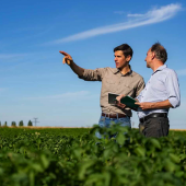 Agriculteurs en discussion sur les parcelles exploitées. © Photo DR iStock