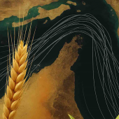 Passages des céréales par le détroit d'Ormuz. © Illustration DR iStock