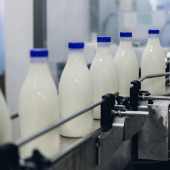 Mise en bouteille du lait. © DR iStock