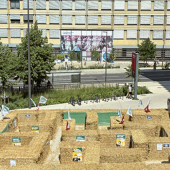 Le labyrinthe de bottes de pailles dressé devant l’entrée du palais des congrès de Nancy symbolisait les impasses auxquelles la filière céréalière est confrontée. © Pierre DIVOUX