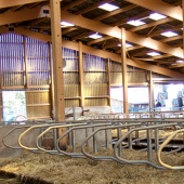 L’arrêt du lait : de lourdes conséquences sur le plan économique. © Photo Inosys Réseaux d'élevage