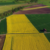 Vue aériene de cultures. © Photo sous licence CC