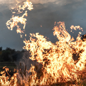 Terrain en feu. © Photo licence CC