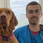En tant que vétérinaire mixte, le jeune praticien réalise également de la médecine canine ©Kévin Contart