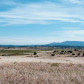 Prairie lors de la sécheresse de cet été. © Photo iStock
