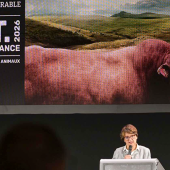 Les annonces d'Annie Genevard lors du Sommet de l'Elevage le jeudi 8 octobre 2026. © capture X