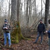 Visite sur le terrain d’une délégation d’experts forestiers Hongrois en forêt domaniale de Darney. 