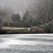 Le givre recouvre la terre tard dans la saison. Photo sous licence Creative Commons