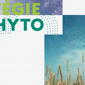 Stratégie Echophyto 2030 nouveau plan des ministres de l’Agriculture et de la Transition écologique. Photo DR